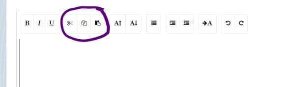 Essay controls with cut, copy, and paste icons circled.