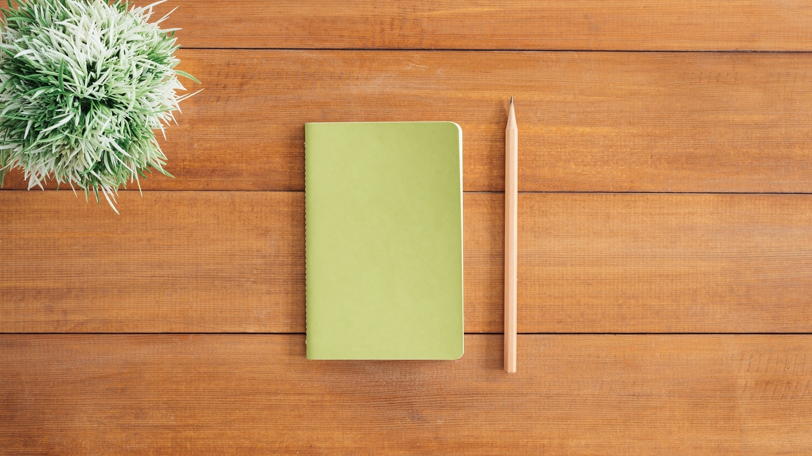 Green notebook on wooden table with plant and tan pencil besides