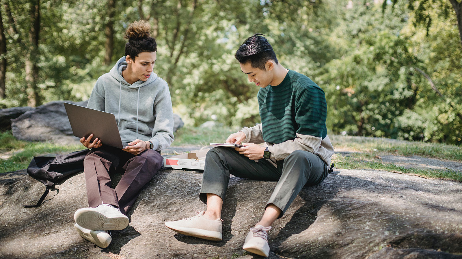 Male friends sitting on boulder with laptop